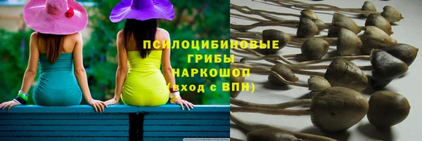 альфа пвп Беломорск