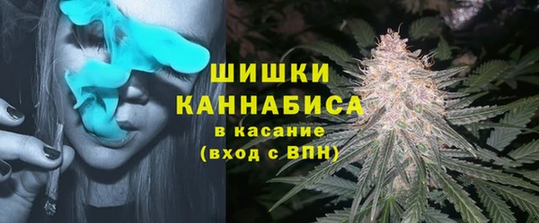 сатива Балабаново