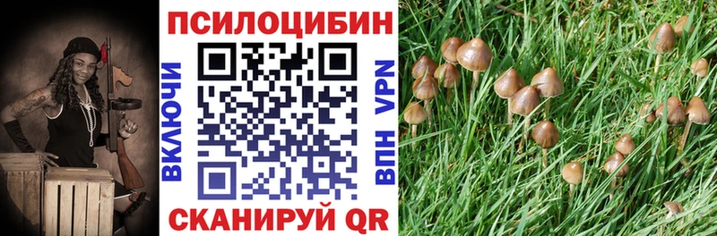omg сайт  Дмитровск  Псилоцибиновые грибы мицелий 